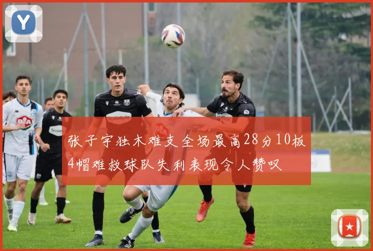 张子宇独木难支全场最高28分10板4帽难救球队失利表现令人赞叹